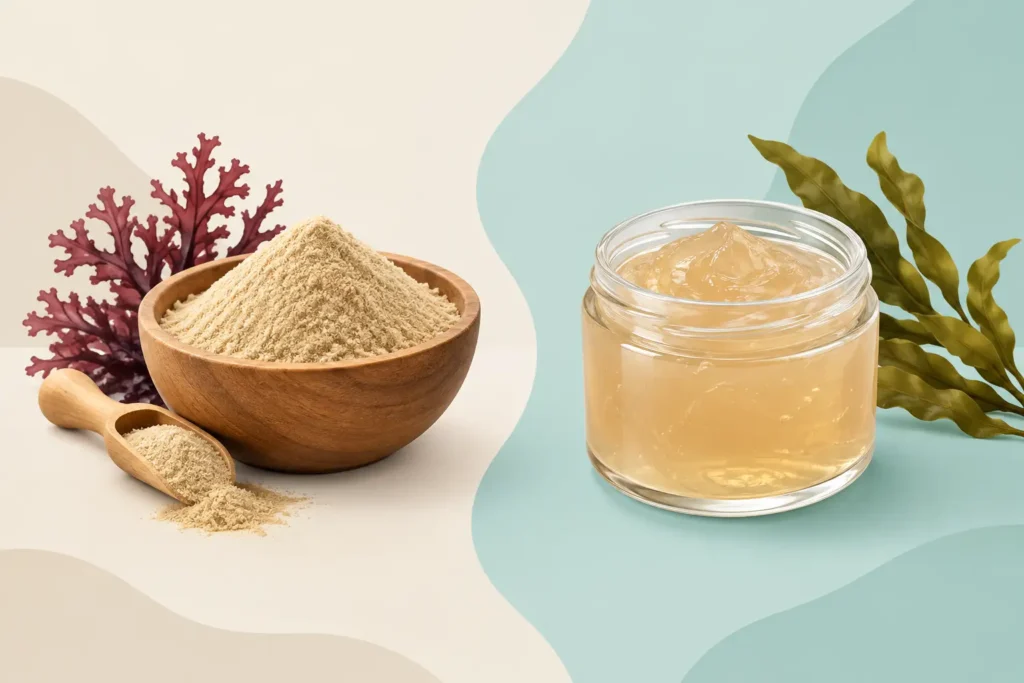 Sea Moss Powder vs Gel: Which Fits Your Routine?